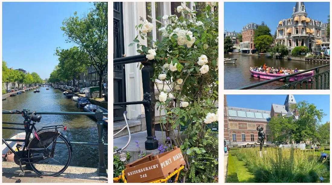 Amsterdam om sommeren med kanaler, en sykkel, hvite roser, en kanalbåt og Rijksmuseum